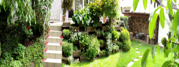 Stimmungsbild-Hedwig-Ciani Weiler-1